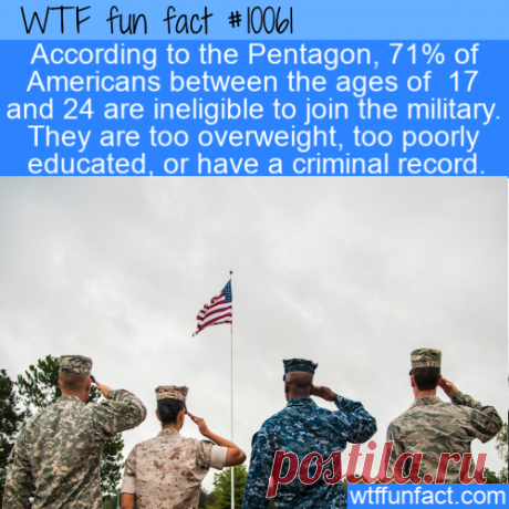 WTF Fun Fact – Fighting Obesity &amp;#8211; Top Best Celebrity Blogs