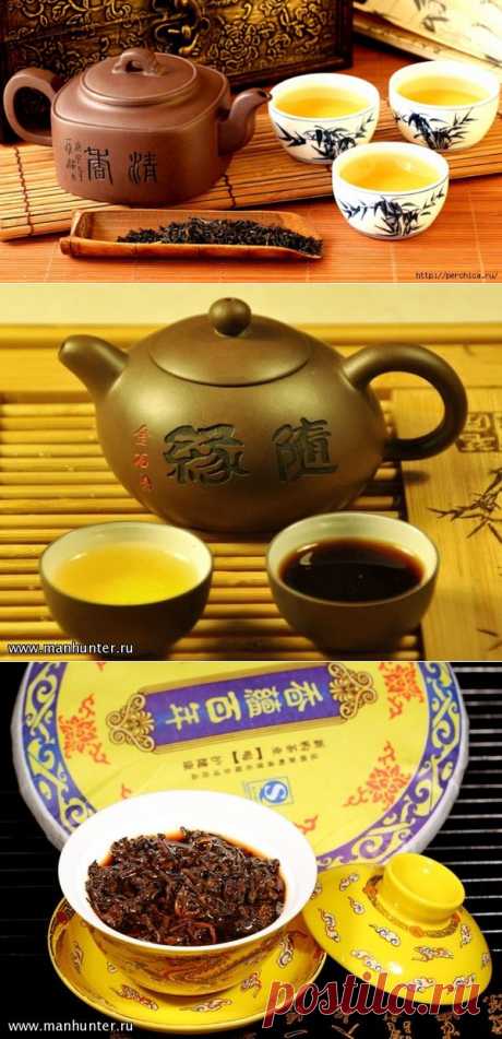 Знакомство с китайским чаем пуэр