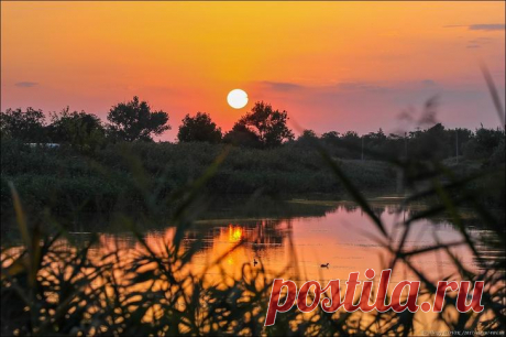 Фотопрогулки. Тихий вечер Люблю я сентябрьские вечера.Не жаркие...Тихие...Нарушаемые только всплеском уток и пением сверчковА еще они розовые... Слова тут излишни