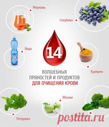 14 пряностей и продуктов для очищения крови