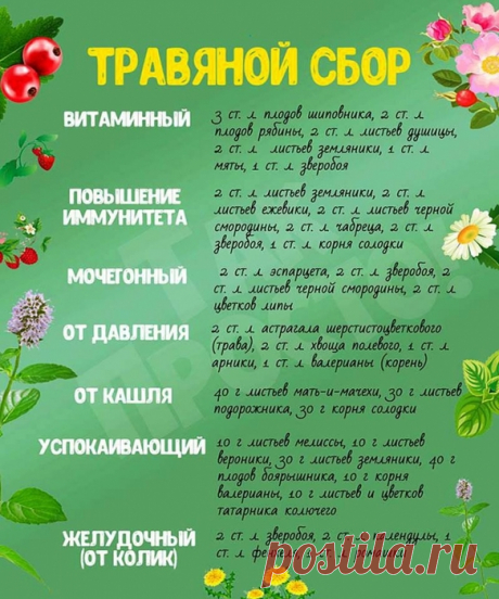 Здоровье