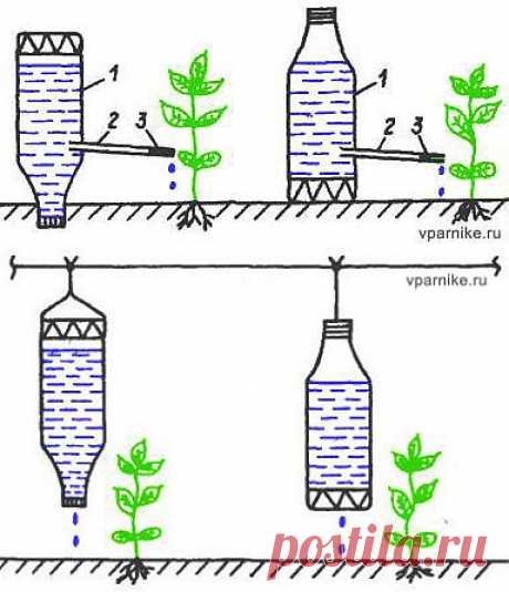 Простые системы капельного полива растений из пластиковых бутылок и не только | vparnike.ru