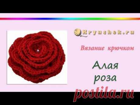 Алая роза крючком (Crochet Rose) - YouTube