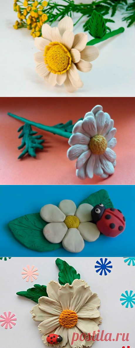 Ромашка из пластилина: аппликация из воздушного пластилина и ватных палочек на картоне, как слепить ромашку для детей - лепка цветка