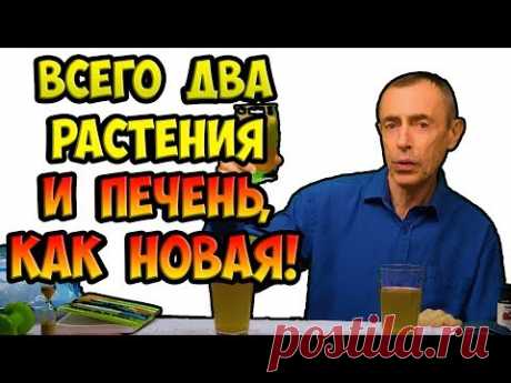 ВСЕГО ДВА РАСТЕНИЯ - И ПЕЧЕНЬ, КАК НОВАЯ! И ВЫ БОЙКИЙ, СИЛЬНЫЙ, НЕУЯЗВИМЫЙ И КРЕПКИЙ! Островский