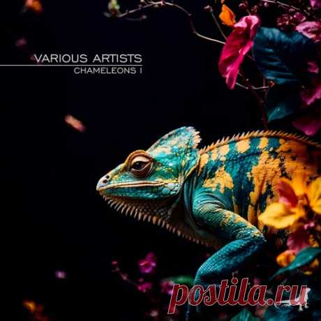 Anomali, Dariuz - Chameleons I [Reptilia Records]