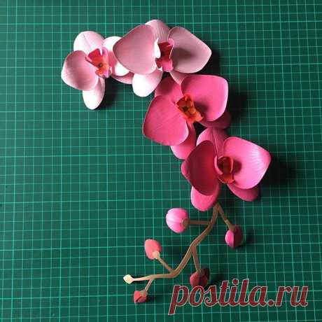 #paperart #papercrafts #paperlover #paperwork #papercuts #paperlove #papercraft #papersculpture #paperflowers #paperartist #paperflower #paperdecor #paperaddict #papercrafting