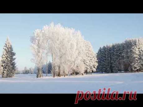 Павловск. Павловский парк, t -14. COLOR ORIGINAL   камера, монтаж Владимир Шкваря