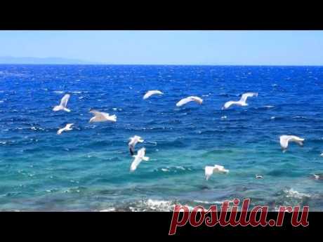 Musique Relaxante - Vidéo HD - Paysages, Nature... Relaxation