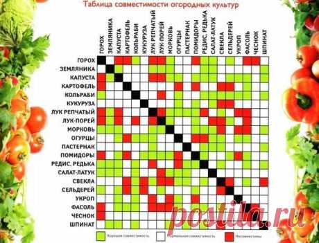 ТАБЛИЦА СОВМЕСТИМОСТИ ОГОРОДНЫХ КУЛЬТУР

Источник – МОЙ ДОМ!▼ 
Рекомендуем подписаться!►►►
#Сад_огород@maihoum