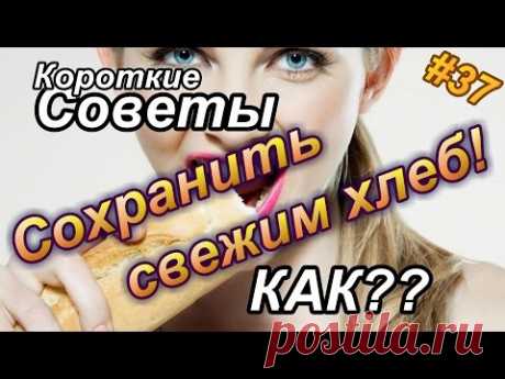 Как сохранить хлеб свежим?