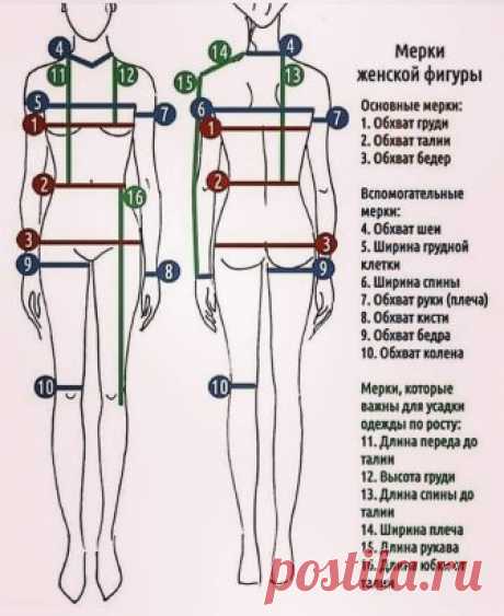 Мерки женской фигуры. На заметку начинающим и не только
