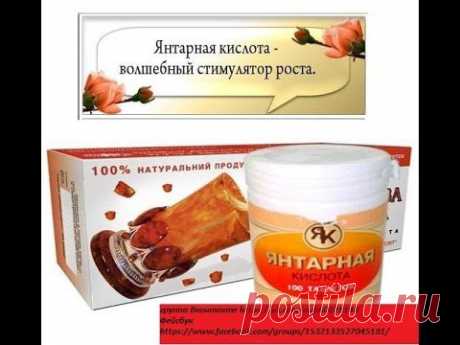 Янтарная Кислота для орхидей succinic acid