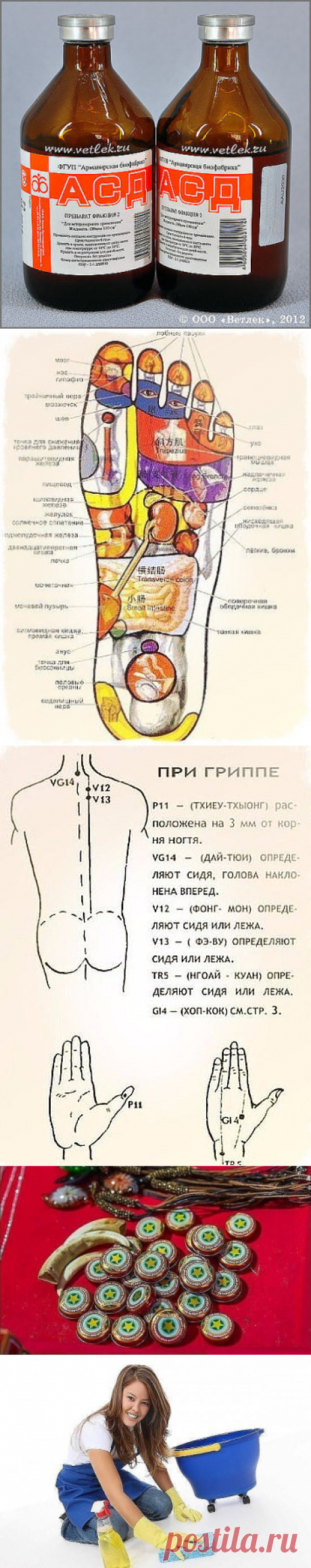 (1) Одноклассники