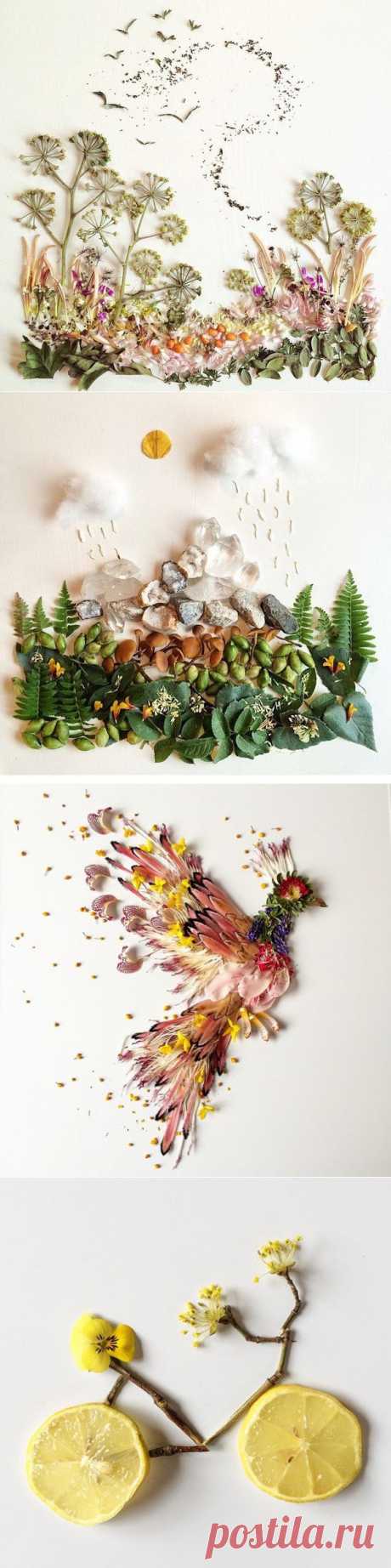Коллажи — гербарии от Bridget Collins (трафик) | HandMade