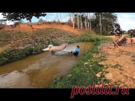 PESCARIA DE PENEIRÃO PEGANDO PIRARUCU GIGANTE DE 200KG