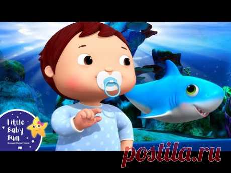 Baby Shark Dance | LBB Kids Songs | ABC's Baby Nursery Rhymes - Sing with Little Baby Bum