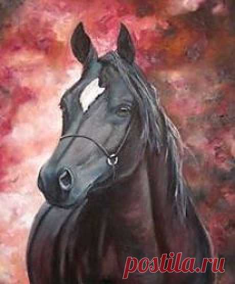 AT RESİMLERİM &amp; NURAY ENGİN &amp; MY HORSE PAINTING