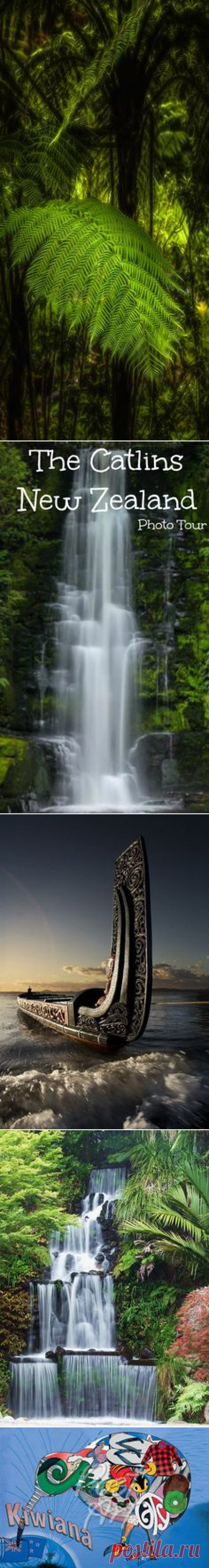 New Zealand Express on Pinterest | New Zealand, Maori and North Island New Zealand