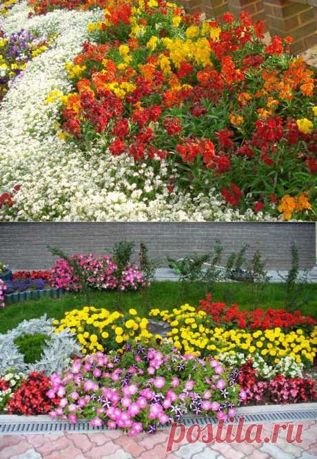 Посадка цветов осенью: какие лучше посадить, многолетние, луковичные, пересадка и полив