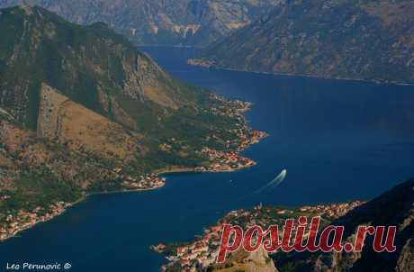 Kotor