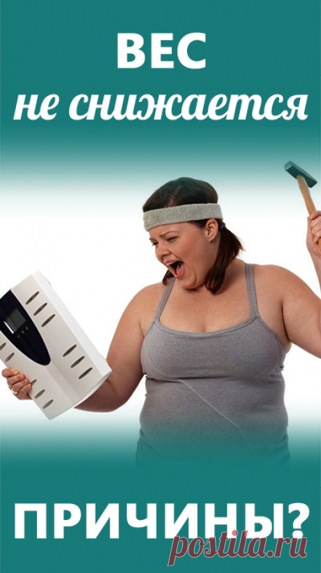 Что делать, если вес не снижается? Преодолеваем плато в на пути похудения. Правильное похудение • похудение • пп • питание • мотивация • правильное питание • диета • еда • эффективная диета • детокс • спорт • кето диета • низкоуглеводная диета • безуглеводная диета • сбросить вес • сбросить жир • безопасно • похудеть • как правильно питаться • как похудеть • как быстро похудеть • как убрать живот • как избавиться от живота • диета для похудения • похудения без диет • как можно сбросить вес • как