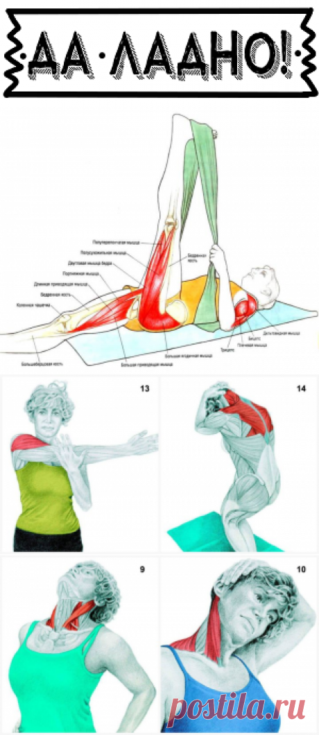 34 упражнения на растяжку, которые подарят вам новое тело