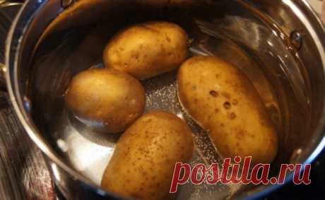 Совет, чтобы кожура картошки при варке не лопнула! — Полезные советы