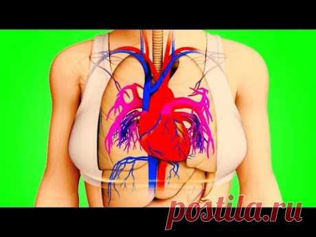 Тело Предупредит Вас За Месяц До Инфаркта