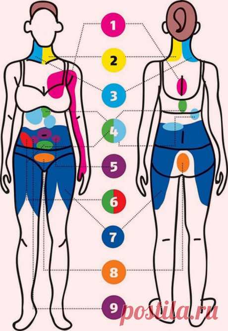 Болит рука, а лечат сердце: 9 типов отраженной боли, которые опасно игнорировать — Красота и здоровье