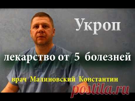 Пил укропную воду утром и на ночь. Вылечил 5 болезней и избавился от паразитов