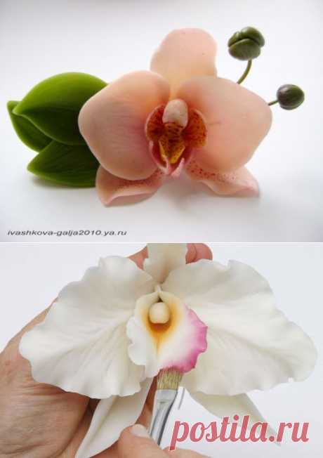 Прекрасные орхидеи из пластики — Рукоделие