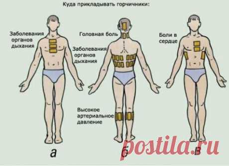 Как правильно ставить горчичники