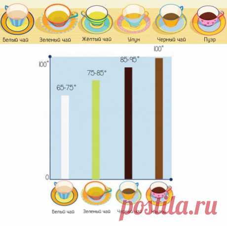 15 советов как правильно пить чай — Делимся советами