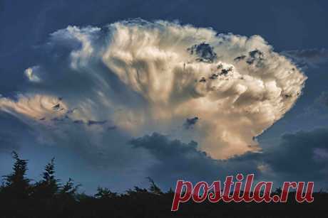 Starship Enterprise..... Hi.....I took this photo as the cloud Which I have called the Starship Enterprise slowly drifting over our back garden…I for one have never seen anything like it before, and was hoping that you would think it as interesting as I do