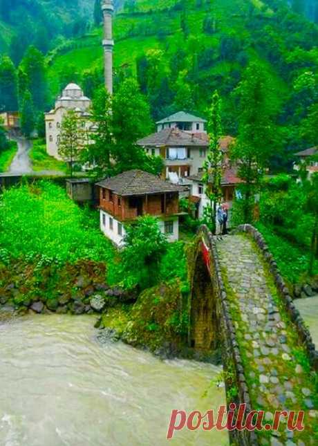 sıtkı All Nature — Rize \ TÜRKİYE