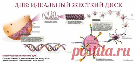 Невероятно! Слова, которые вызывают мутагенный эффект чудовищной силы