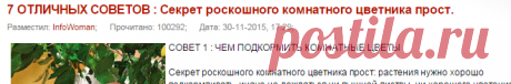 7 ОТЛИЧНЫХ СОВЕТОВ : Секрет роскошного комнатного цветника прост. » Женский сайт InfoWoman.com.ua. Полезные советы для женщин