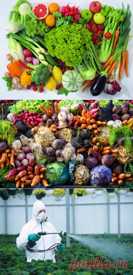 Советы, которые научат тебя, как избавиться от химии в овощах и фруктах. Позаботься о своем здоровье!