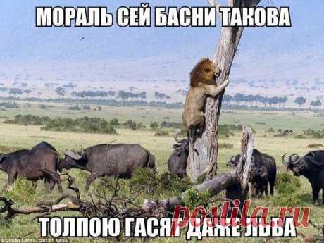 Новости