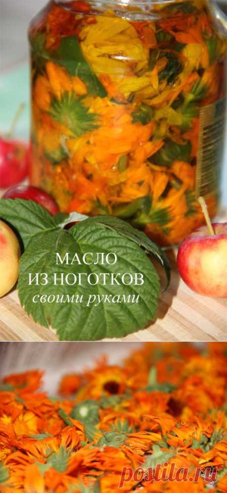 Масло календулы . Применение. Как приготовить масло календулы