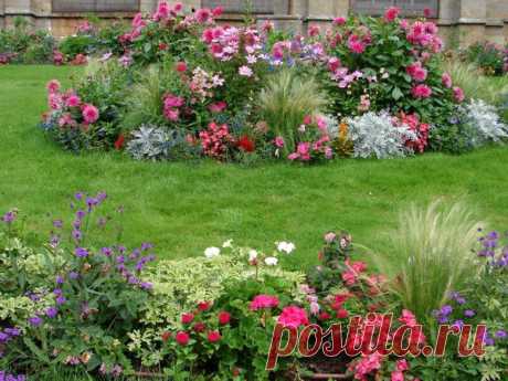 Цветник на даче: правила размещения растений в цветниках