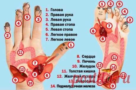 Су-Джок массаж: Южно-Корейская методика для похудения | LadyFIT | Яндекс Дзен