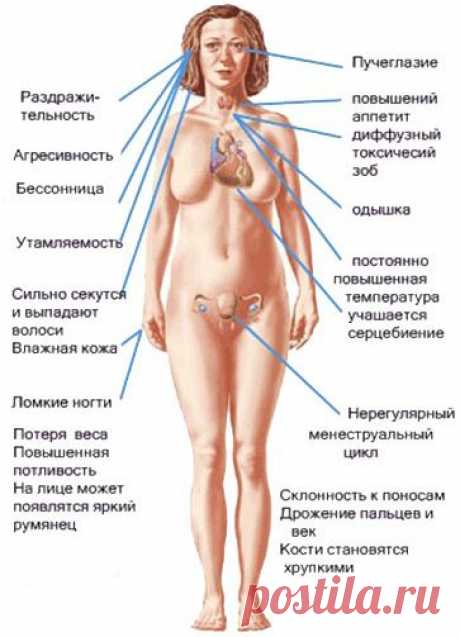 Заболевание щитовидной железы, причины, симптомы, лечение народными средствами