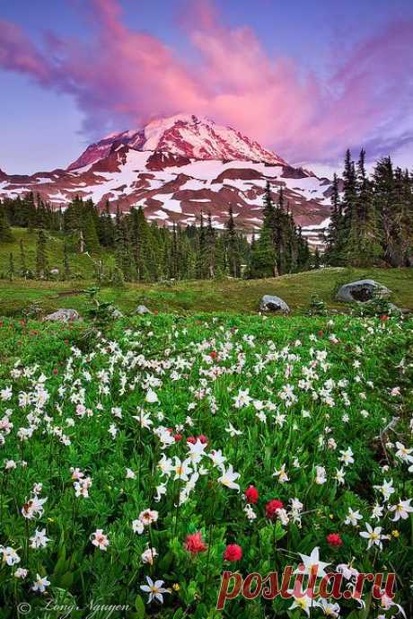 Summer sunset, Mt Rainier, Washington,  flickr от LongHN Photo  |  Pinterest: инструмент для поиска и хранения интересных идей