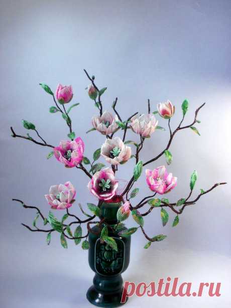 biser.info_43839_v-kraju-magnolij-pleshhet-more..._1372245957.jpg (749×1000)
