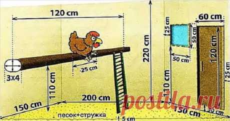 Курятник своими руками на 10 и 20 кур - фото и чертежи | Курочка | Яндекс Дзен