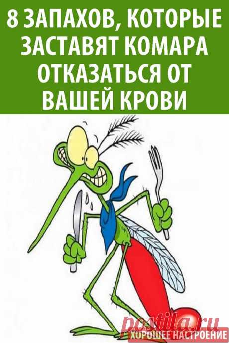 8 запахов, которые заставят комара отказаться от Вашей крови