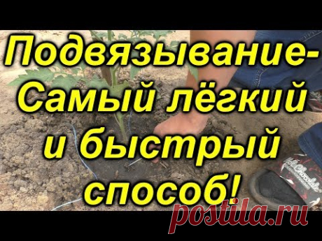 Самый классный (!!!!!) способ подвязывания растений в теплице!