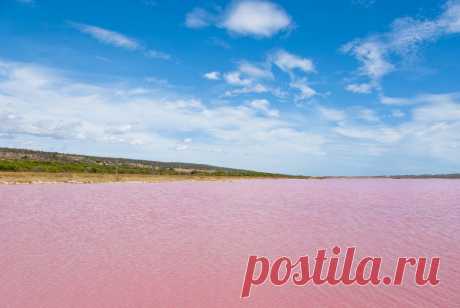 Розовое озеро Хильер.Австралия.